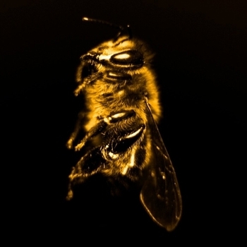 Бюро - Карты врут