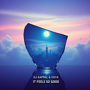 Dj Kapral - It Feels So Good