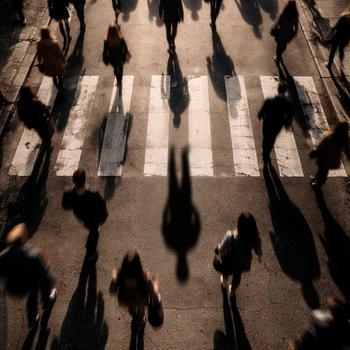 Loc-Dog - Психолог