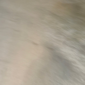 Miscel - Felt Something