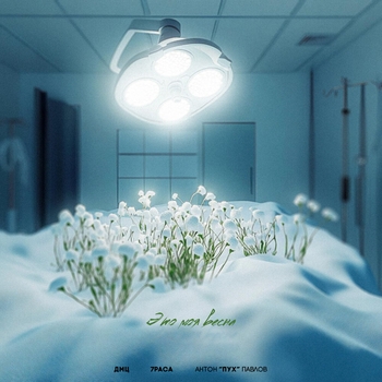 Дмц - Это моя весна