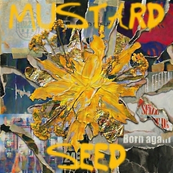 W24 - mustard seed