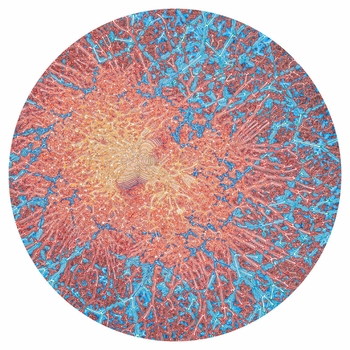 Max Cooper - Pattern Index