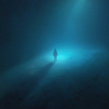 Money Flip - scars are beautiful