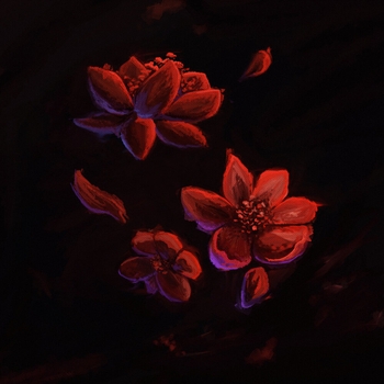 Appliexe - Ориентир