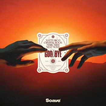 Natty Rico - Goodbye