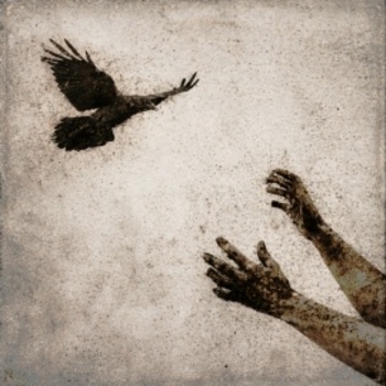 Мандела - На грошах