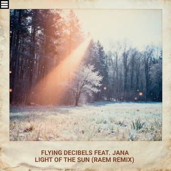 Flying Decibels - Light Of The Sun