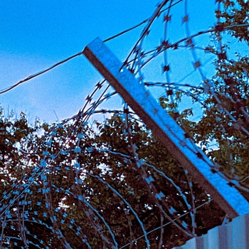 Нехудожник. - Лжец-лжец