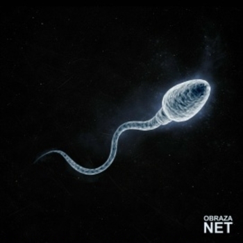 Obraza net - Соль земли