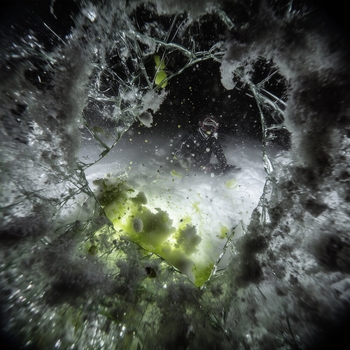 uxknow, Royalty Amore - фрирайд