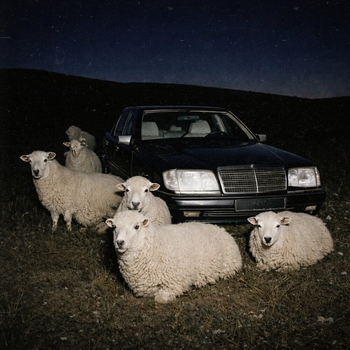 Grey Killer - Polar Rain