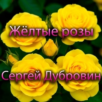 Сергей Дубровин - Жёлтые розы