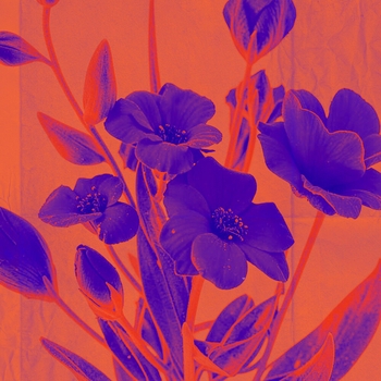 Свят - Весна bossa nova