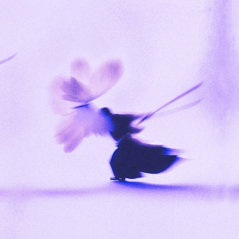 Shiloh Dynasty, U-ZAI, DJ Mlg - I See You All The Time