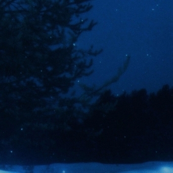 nleave, mirwin - withering hour