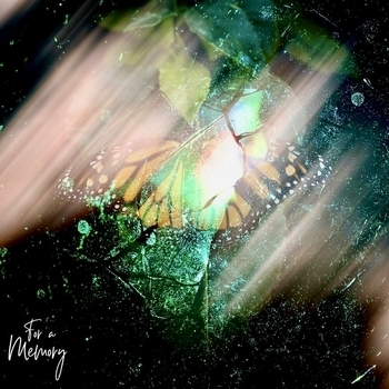 Krasa Rosa - Cassiopeia