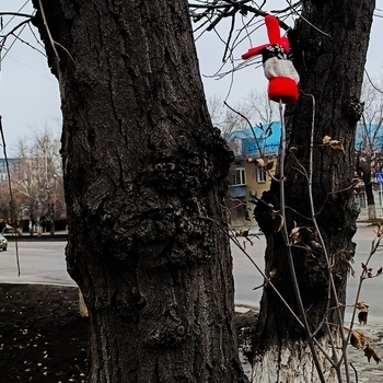 Почему Бабочка - моя мама лудоманка