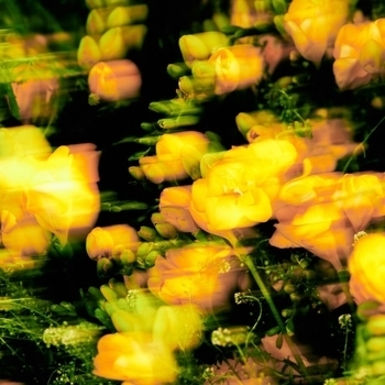 Jay Park, DONGHAE, 1iL - Good Day