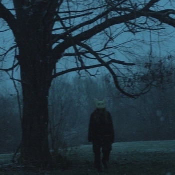 My head is empty - into the fray