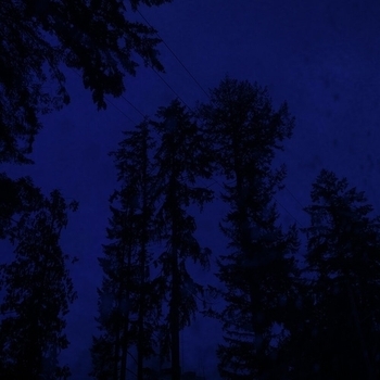 my head is empty, Miranda Rain - i don't know