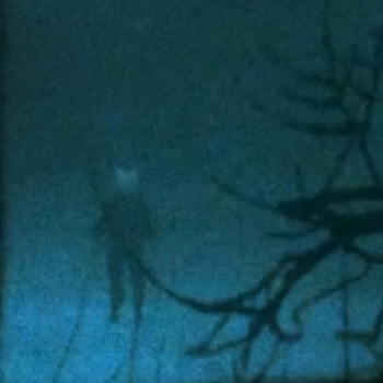 My head is empty - i was only temporary