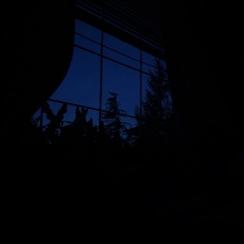 my head is empty, Miranda Rain - keep me close