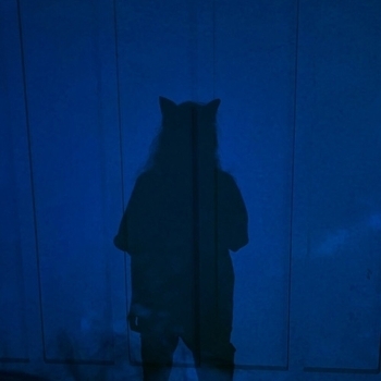 My head is empty - novocaine