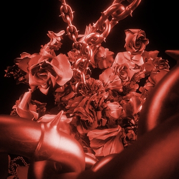 Fred V, Luxtides - Mistakes