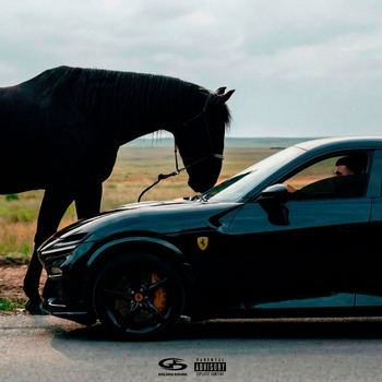 Альбом Purosangue Jakone