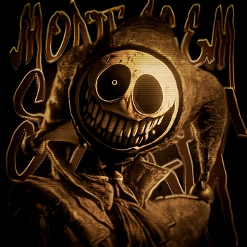 SXLLX - MONTAGEM SALYX