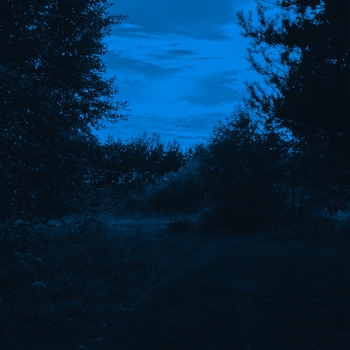 The Morph, Mklv - move ahead