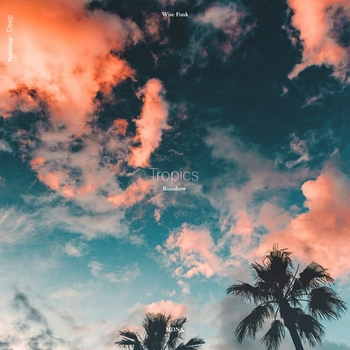 Rainshow, Mdna, Wise Funk - Tropics