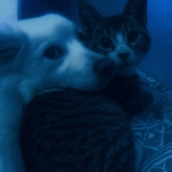 nleave - stay with me