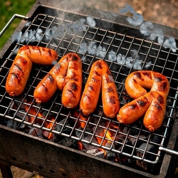 Макс Вертиго, Sun Duck, ТЭСЛА - Галя