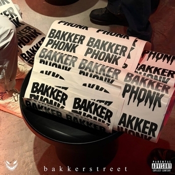 bakkerphonk - Заблуждение