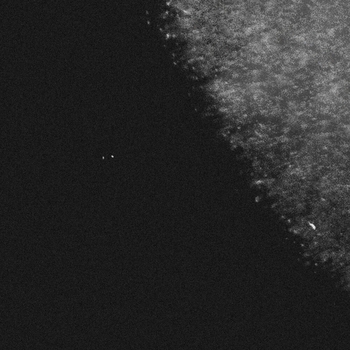 Indikt - remember (abridged)