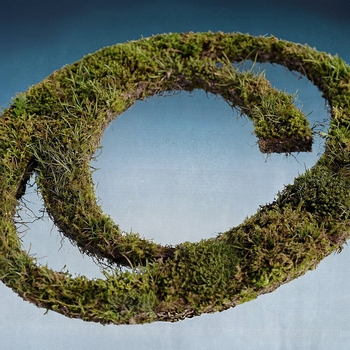 Carpetman, Clear Man - ... (OST Carpetwood)