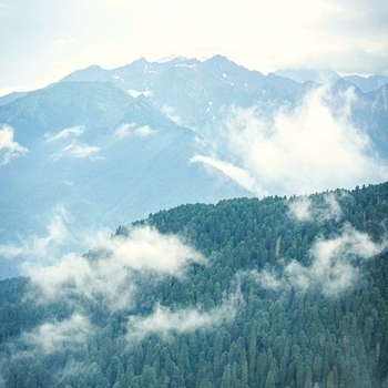 Альбом A Horizon Without Edges Astropilot, Tish'