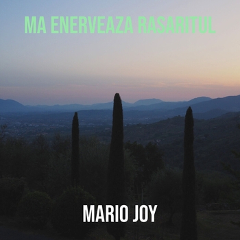 Mario Joy - Remember