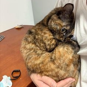 ugovhb - WTF! (sped up)