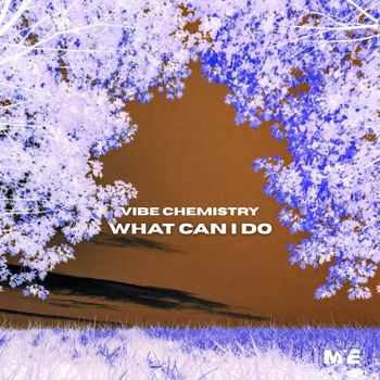 Vibe Chemistry - What Can I Do