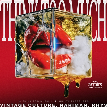Vintage Culture - Guilty Pleasures