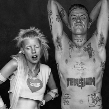 Артист Die Antwoord