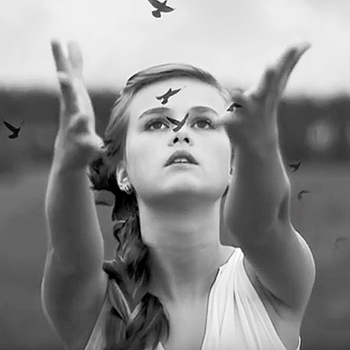 Даша Волосевич - Архивы