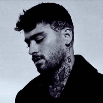 Zayn - Die For Me