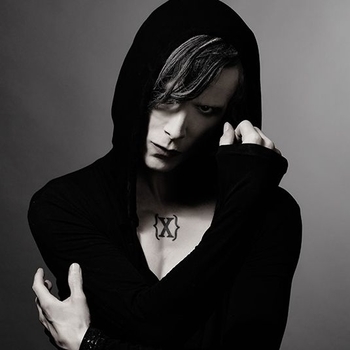 IAMX - The Unified Field
