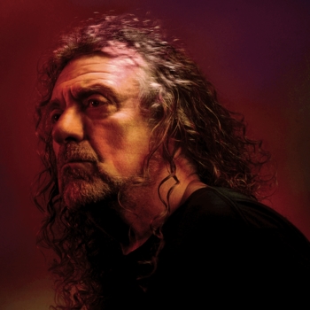 Robert Plant - Big log