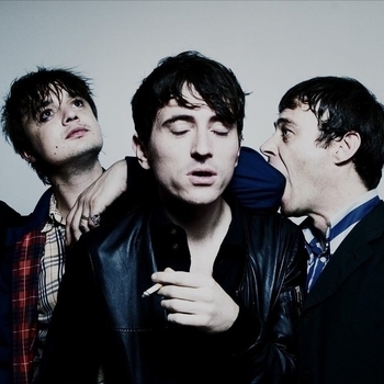 Артист Babyshambles
