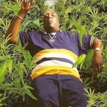 Squirrel - Let Me See You Squirrel